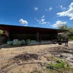 345714994_1233143637406790_5356219247047646105_n